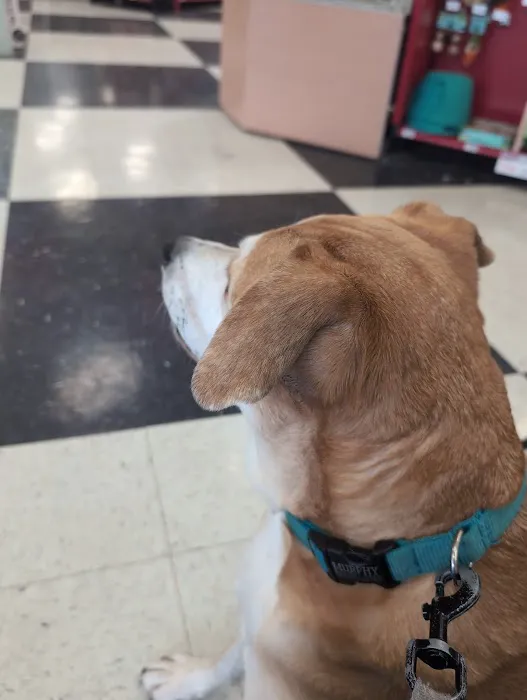 Petco 7