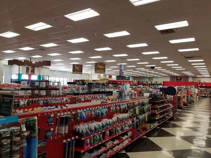 Petco 8