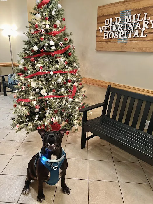 Old Mill Veterinary Hospital 3