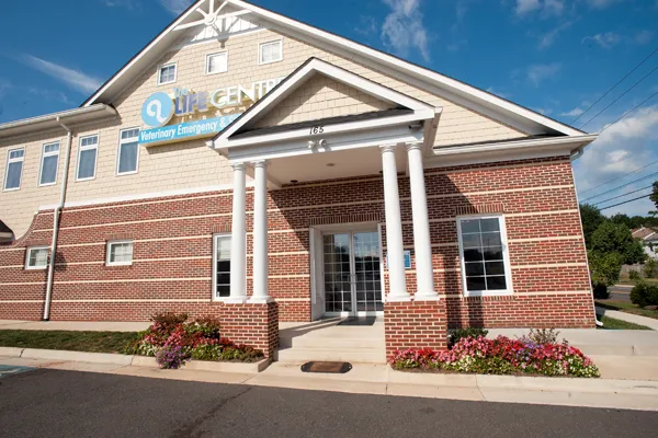 Veterinary Surgical Centers 10