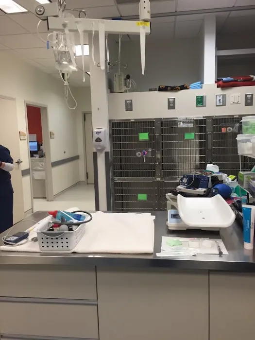 VCA Animal Emergency Critical Care 12