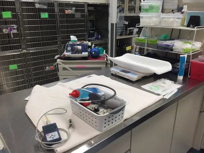 VCA Animal Emergency Critical Care 12