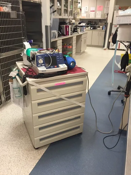VCA Animal Emergency Critical Care 12