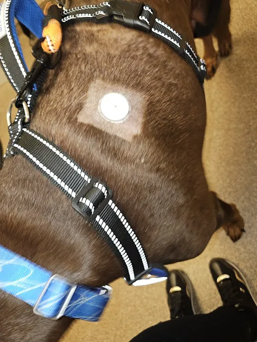 Leesburg Veterinary Internal Medicine 4