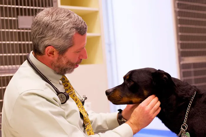 Leesburg Veterinary Internal Medicine 1