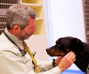 Leesburg Veterinary Internal Medicine