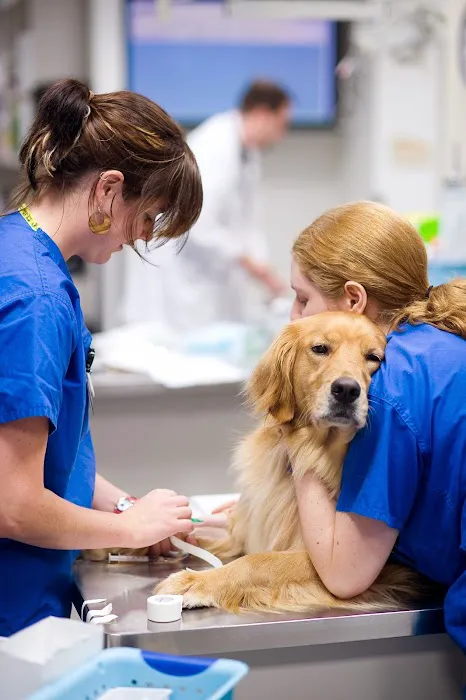 Bush Veterinary Neurology Service (BVNS) - Leesburg 1