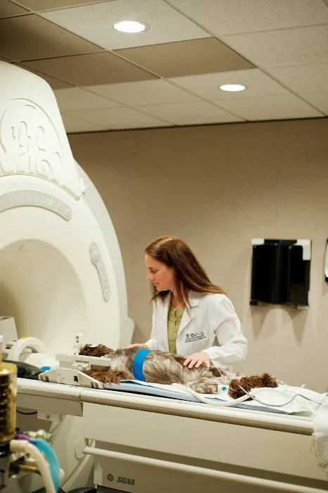 Bush Veterinary Neurology Service (BVNS) - Leesburg 10