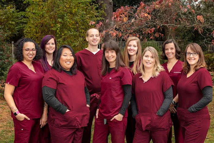 Animal Dentistry & Oral Surgery 2