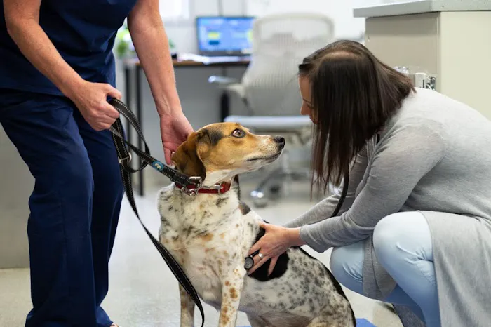 The Oncology Service - Leesburg 4