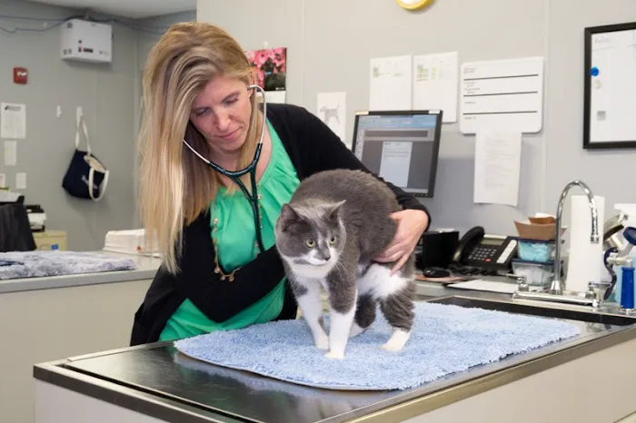 The Oncology Service - Leesburg 2