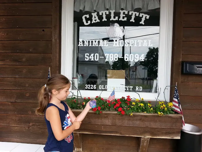 Catlett Animal Hospital 6