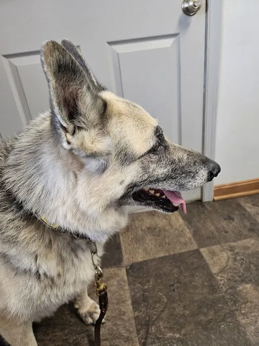 Catlett Animal Hospital 9