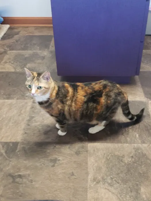 Catlett Animal Hospital 8