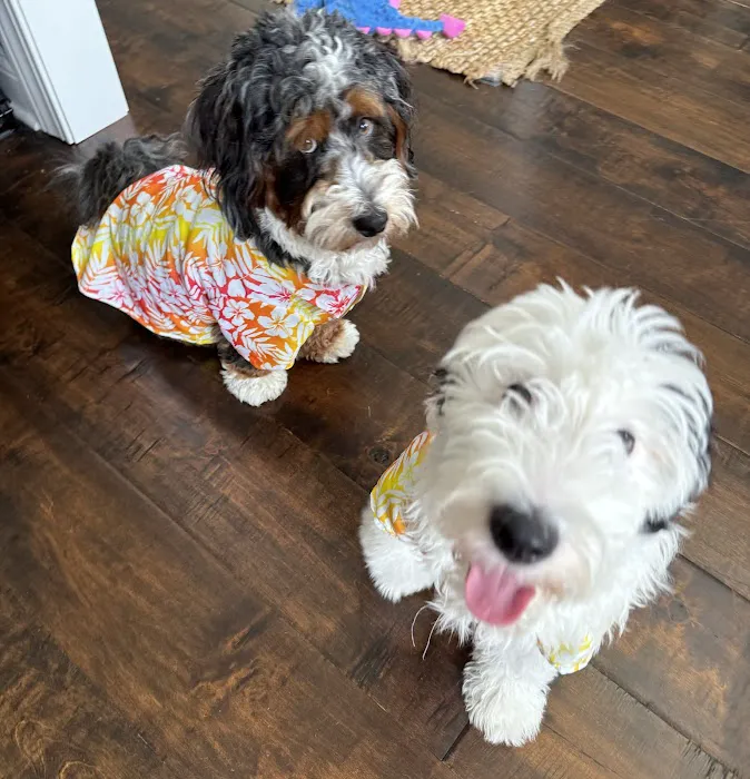 Perfect Pup Inc 3
