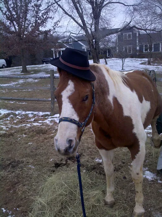Warrenton Horse Works PLC 12