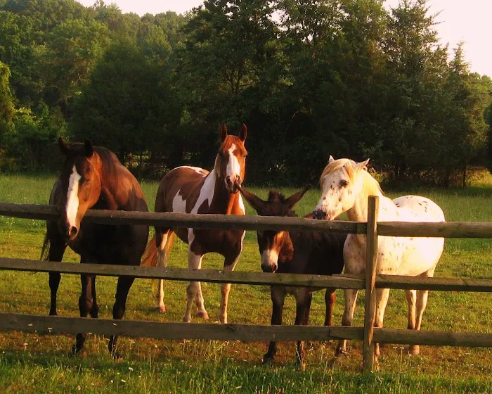 Warrenton Horse Works PLC 12
