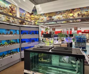 Petco
