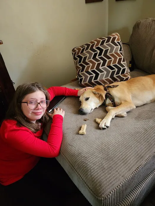 Willow Animal Hospital LLC 4