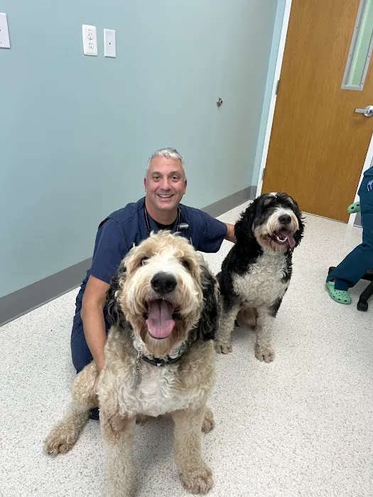 Willow Animal Hospital LLC 2