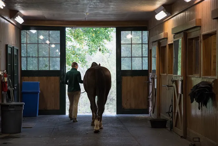 Virginia Equine Imaging 9
