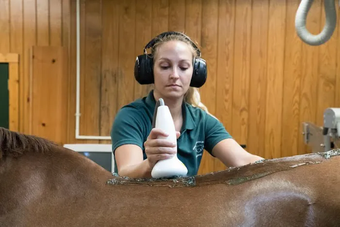 Virginia Equine Imaging 1
