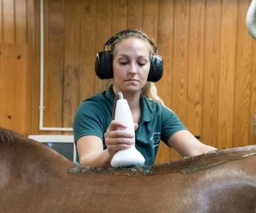 Virginia Equine Imaging