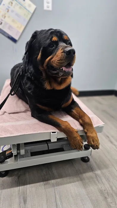 Agape Vet Clinic 1