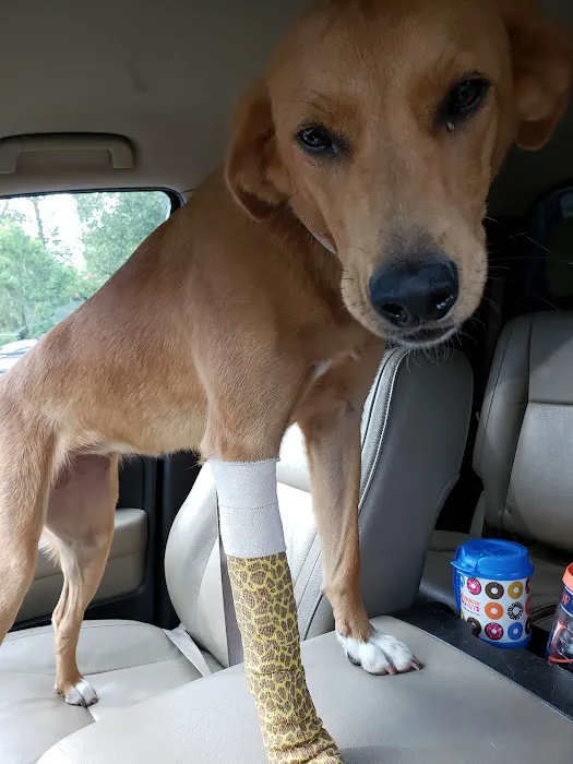 New Baltimore Animal Hospital 8