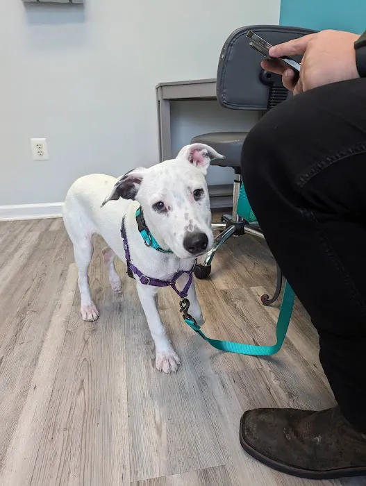 Compassion Veterinary Center 12