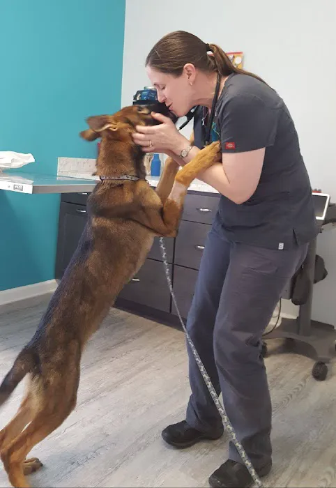 Compassion Veterinary Center 12