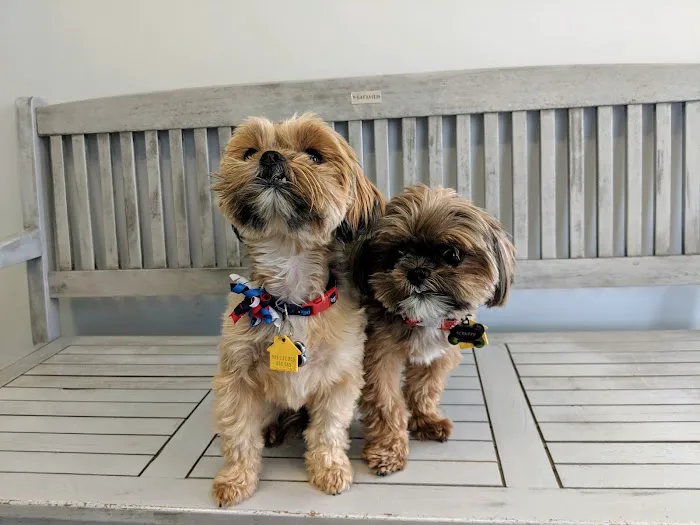Compassion Veterinary Center 12