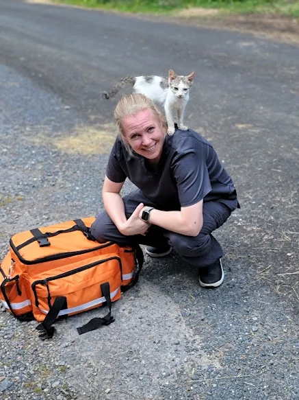 Lakehouse Veterinary 12