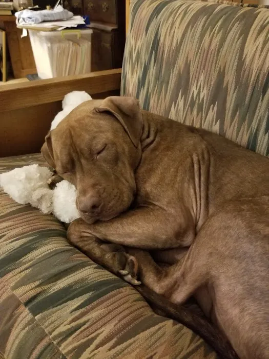 Banfield Pet Hospital 3
