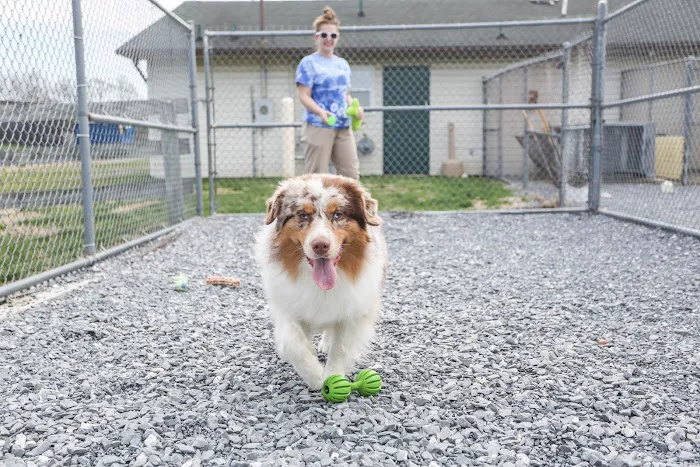Buckeystown Veterinary Hospital 12