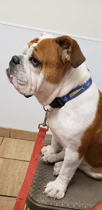Buckeystown Veterinary Hospital 12
