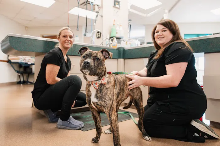 Buckeystown Veterinary Hospital 12