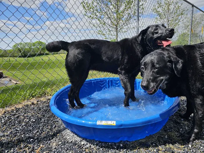 Buckeystown Veterinary Hospital 12