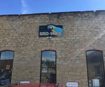 Bird Is the Word