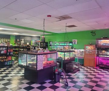 Zoo-Tropic Exotics
