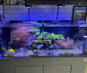 Beyond the Reef
