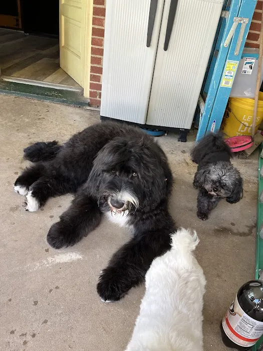 Banfield Pet Hospital 12