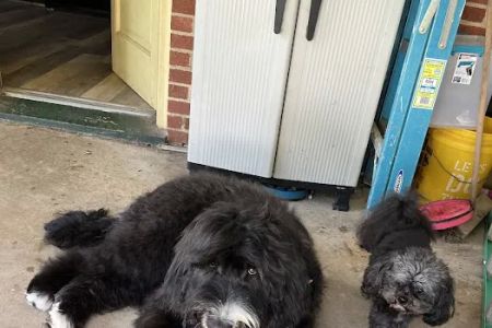 Banfield Pet Hospital