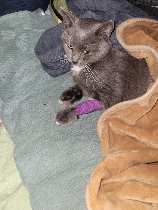 Banfield Pet Hospital 12