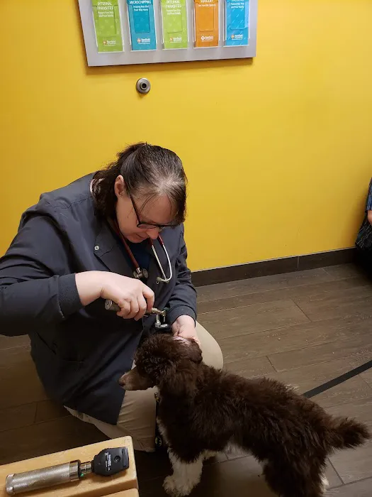 Banfield Pet Hospital 12