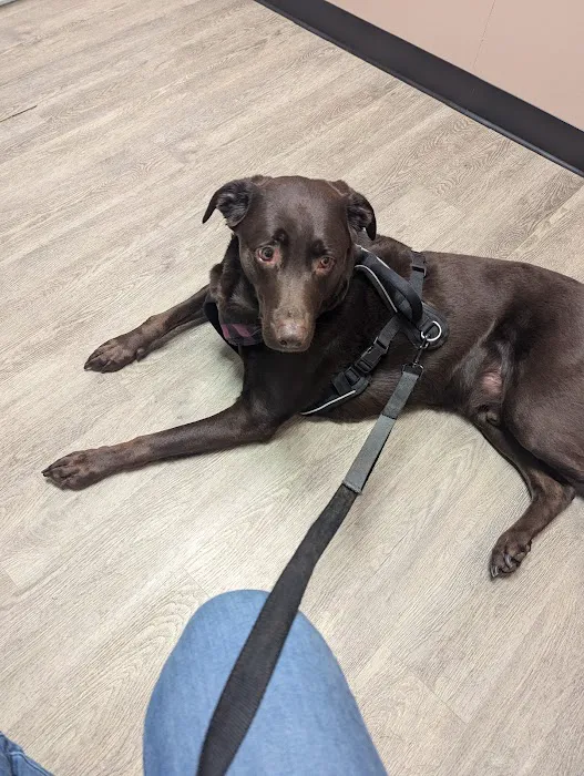 Westminster Veterinary Hospital 12