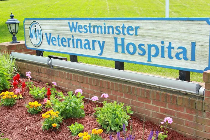 Westminster Veterinary Hospital 12