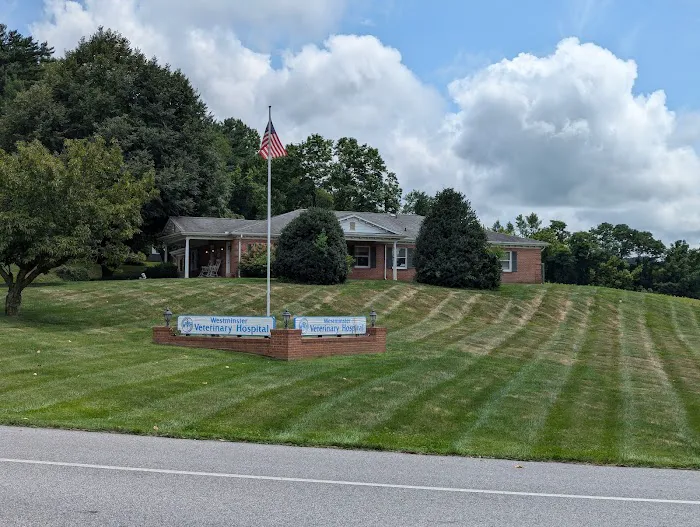 Westminster Veterinary Hospital 12