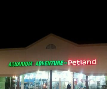 Aquarium Adventure