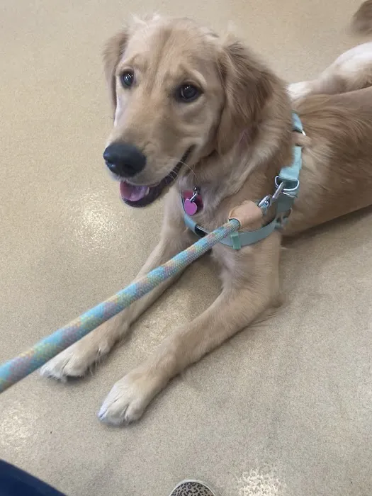 Airpark Animal Hospital 12